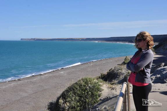 Observando a fauna e o mar na Península Valdés, no litoral da  patagônia argentina